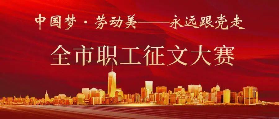 可爱小猫向上跳